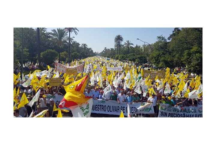 Manifestación en defensa del olivar tradicional