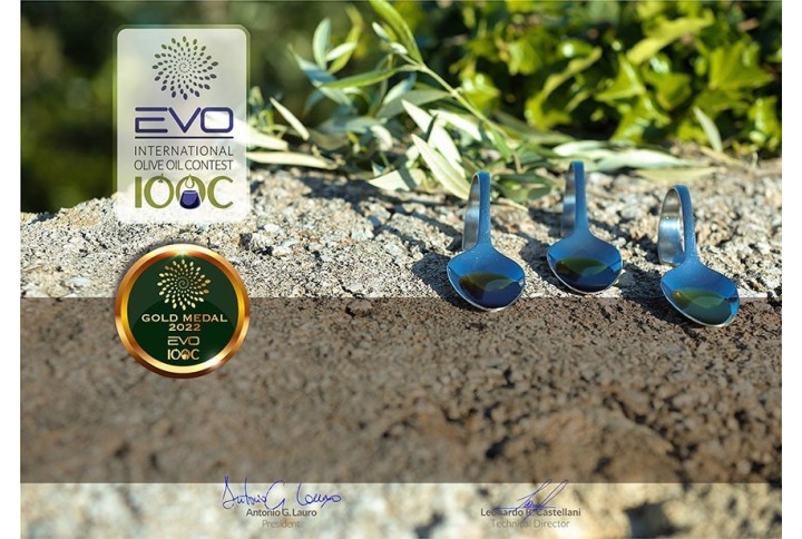 GOLD MEDAL INTERNATIONAL COMPETITION EVO IOOC-ITALY 2022